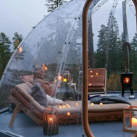 Glass Igloo With Nordic Design In Nature 別荘 *
