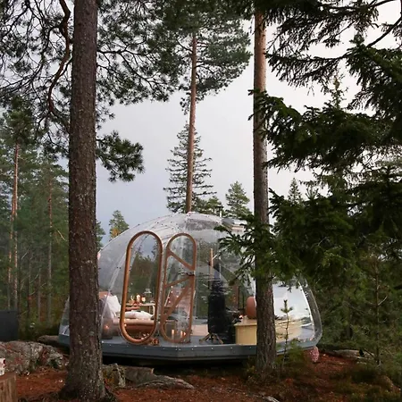 Glass Igloo With Nordic Design In Nature Urskog