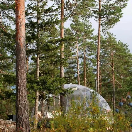 Glass Igloo With Nordic Design In Nature * Aurskog