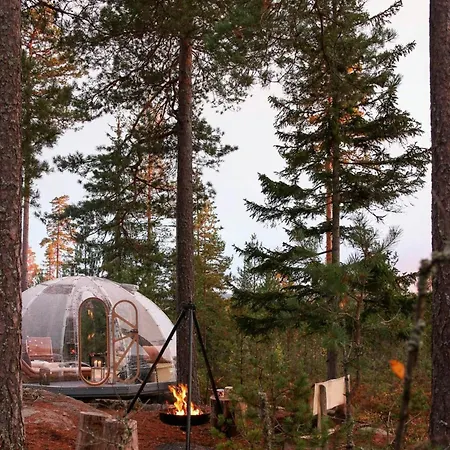 Glass Igloo With Nordic Design In Nature